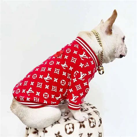 lv dog coat|louis vuitton wool coat.